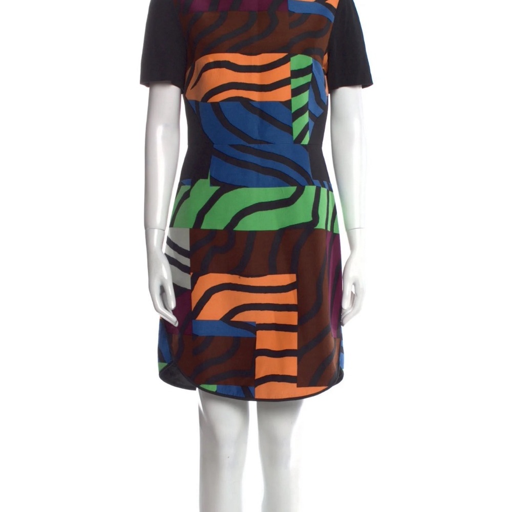 Tibi zebra maze dress